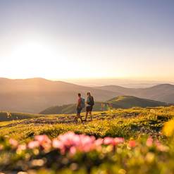 Wandern in den Nockbergen Wanderer inmitten einer schönen Berglandschaft